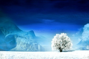 绍兴诸暨1银行个人借款利率揭秘：揭秘低息秘密，轻松贷款无忧